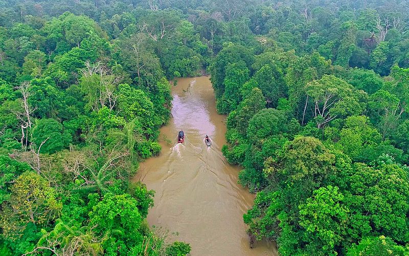 Die BMW Group, Pirelli und Birdlife International starten gemeinsames Projekt zum Schutz des natürlichen Ökosystems in Indonesien