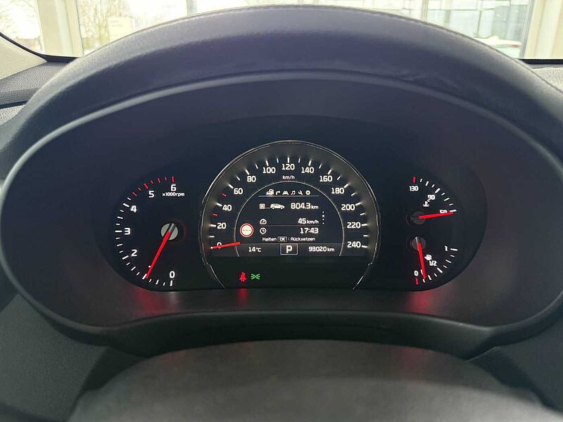 Kia Sorento Platinum Panorama/Sitzebelüftung/RFK/GJR
